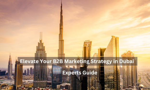 Elevate Your B2B Marketing Strategy in Dubai – Experts Guide - RankoOne