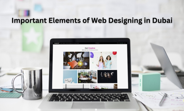 Important Elements of Web Designing in Dubai - RankoOne